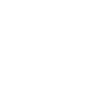 luna beach; bylunabeach; bylunabeachotel; lunabeach; lunabeachotel; lunabeachotel
